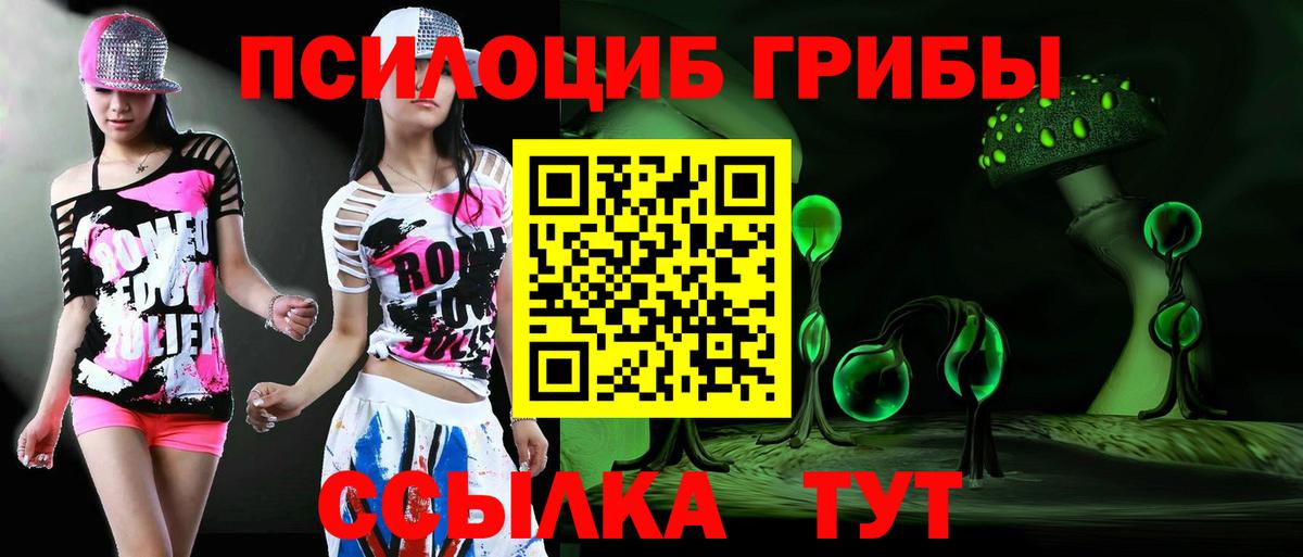 Галлюциногенные грибы Psilocybe  Вход с VPN  Артёмовский 
